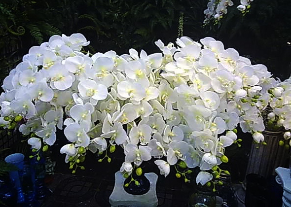 Orchidées Artificielles - Donnez Vie à Votre Décor